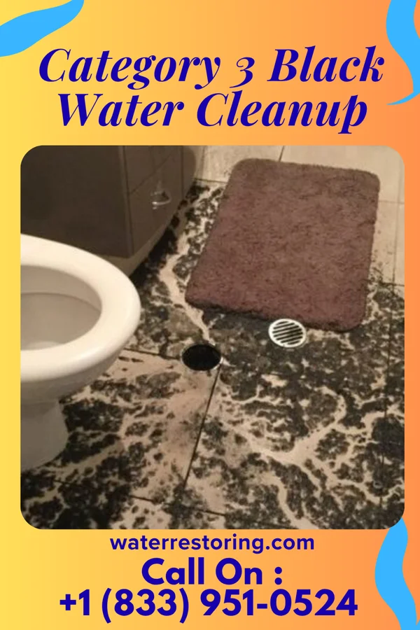 Category 3 Black Water Cleanup in Oxford, MD