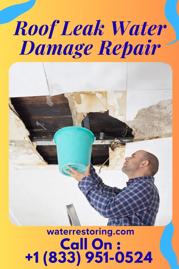 Roof Leak Water Damage Repair in Oxford, MD