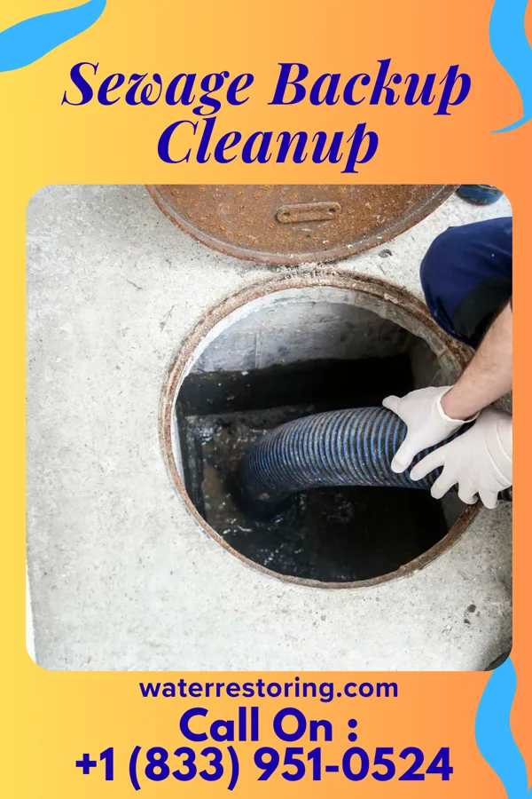 Sewage Backup Cleanup in Oxford, MD