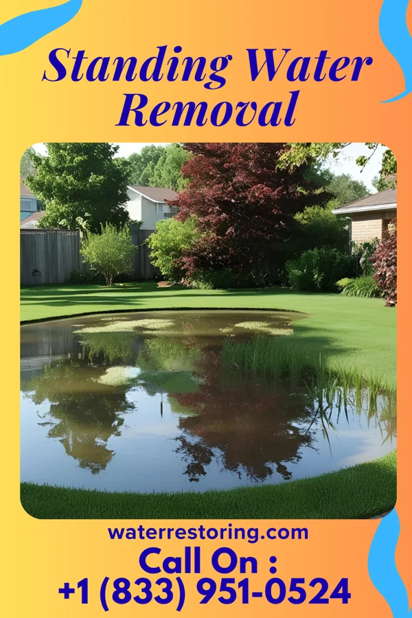 Standing Water Removal in Oxford, MD